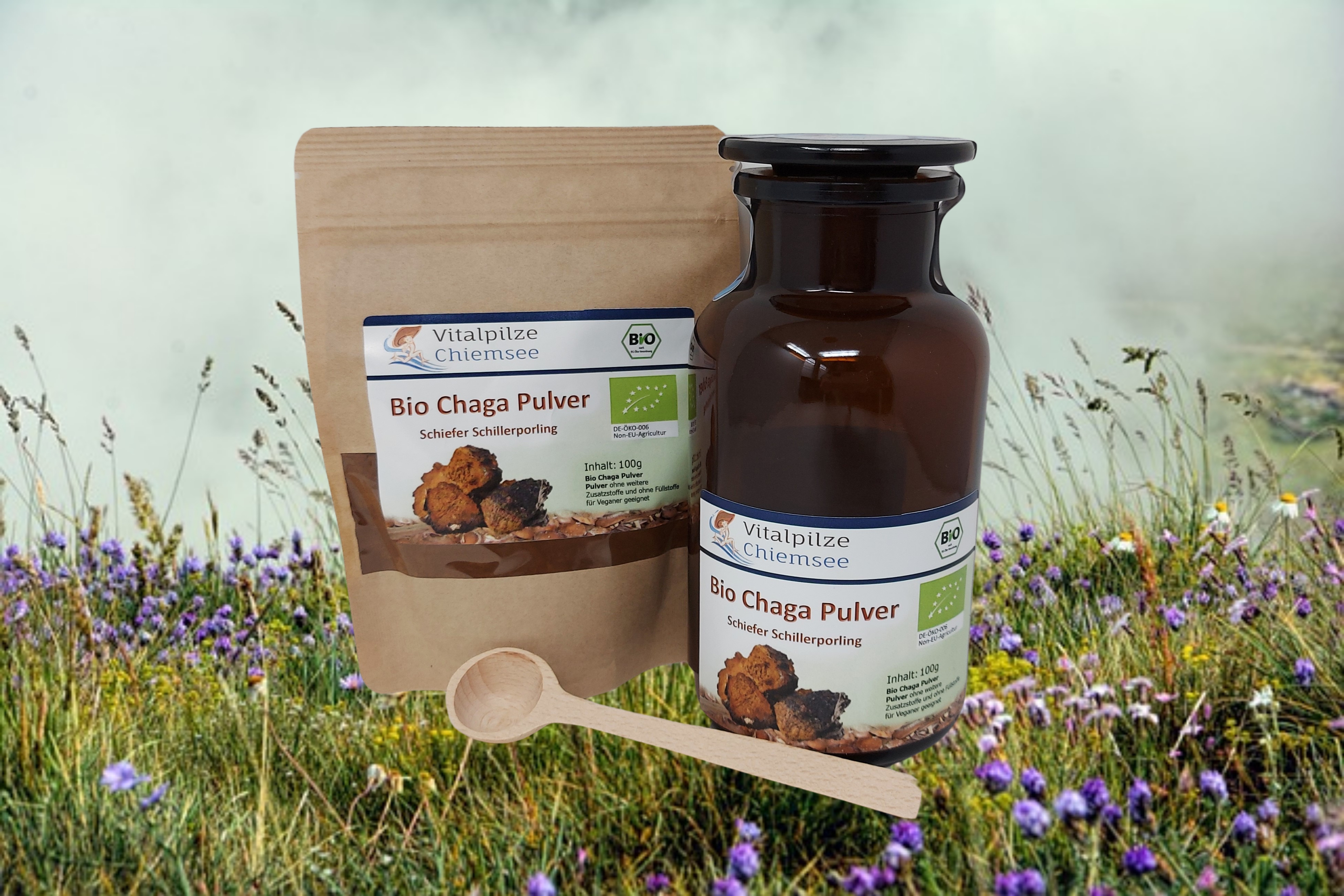 Bio Chaga Pulver