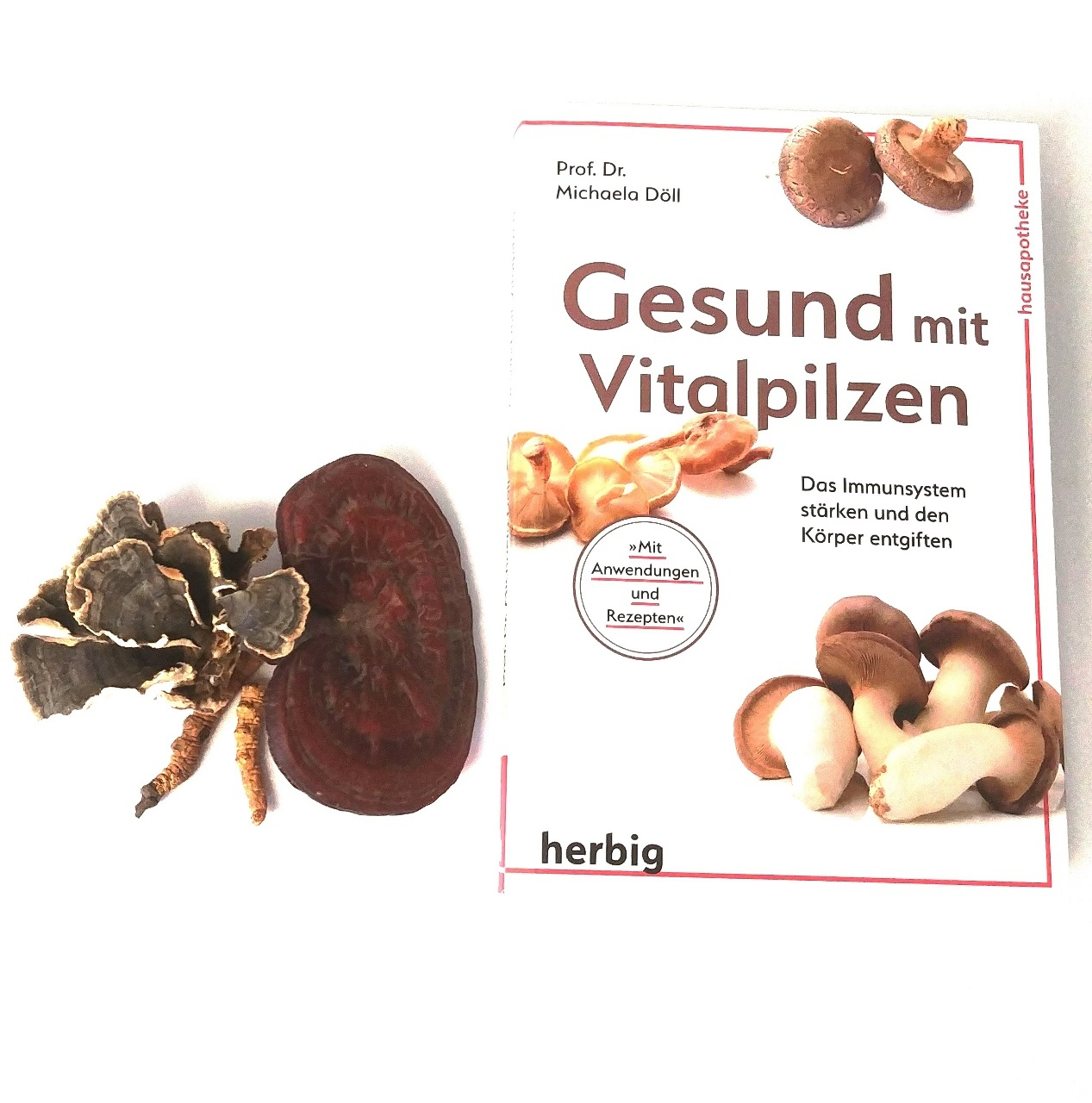 Gesund mit Vitalpilzen