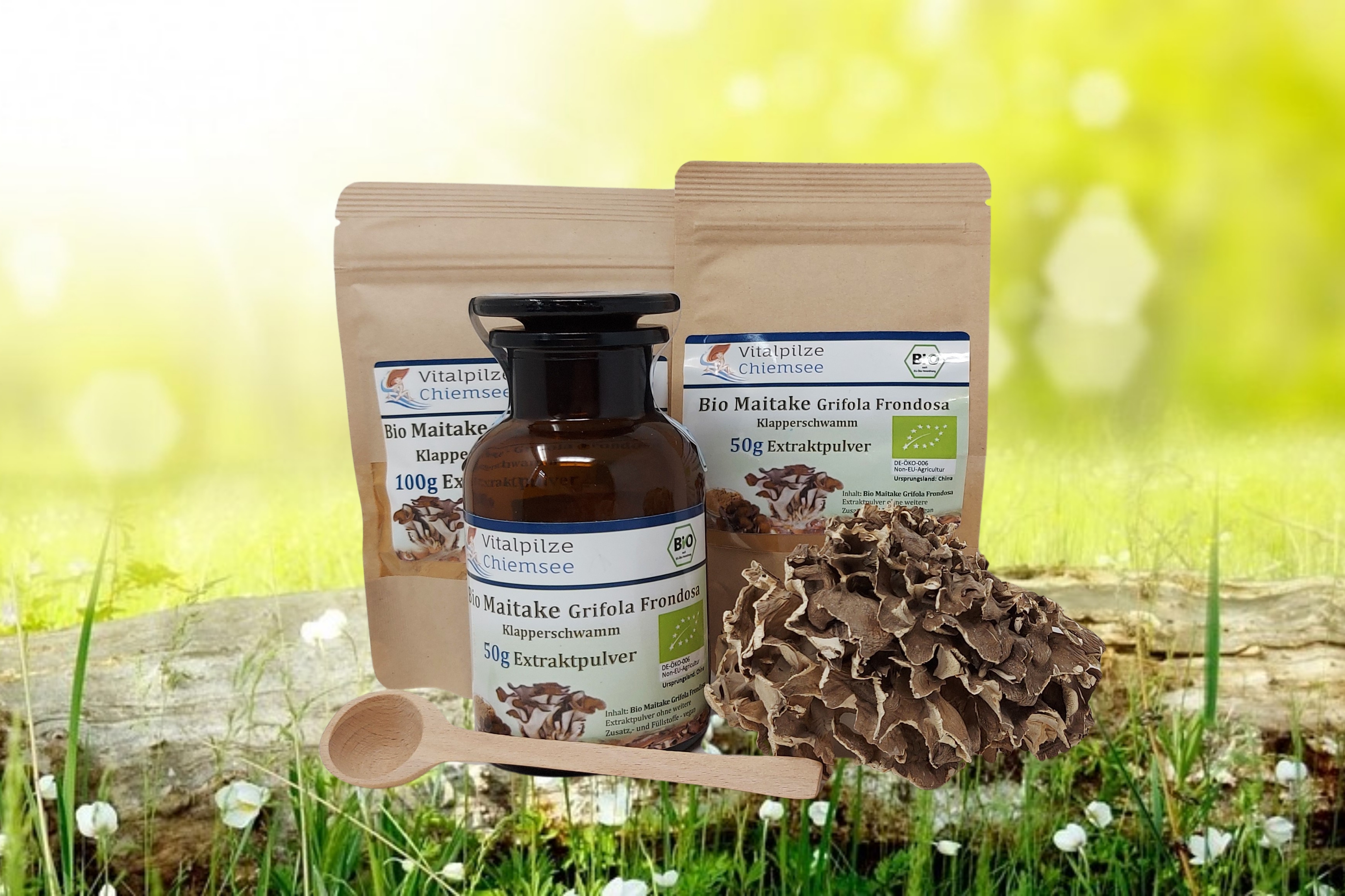 Bio Maitake Extraktpulver